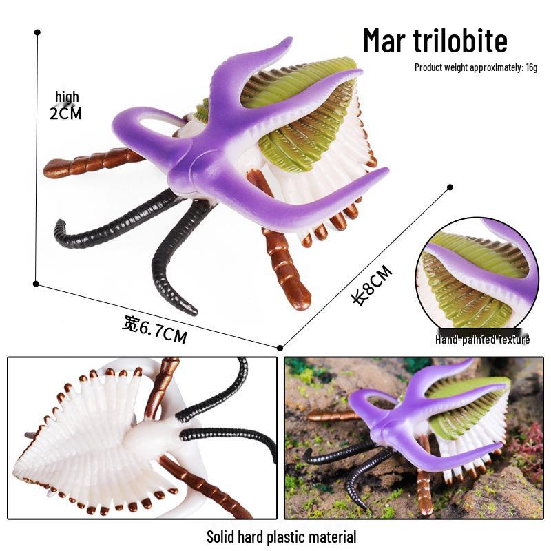 Marine Animal Simulation Models: Jellyfish, Octopus, Sea Shrimp, Sea Anemone, Squid, Horseshoe Crab, Crayfish, Arrowhead