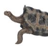 Schildkrötenfigur Spielzeug Lebendige Form Harz Simulation Schildkröte Statue Spielzeug für Aquarium Aquarium Brunnen