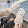 Gloves for Women To Keep Warm In Winter, Cute Fleece Riding Electric Car, Touch Screen, Windproof and Cold-proof Gloves