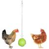 Stainless Steel Hanging Chicken Feeders with Adjustable Chain and Vegetable Skewers for Bird Cage Enrichment and Foraging Stimulation