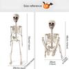 Décoration Squelette d'Halloween Effrayante avec Articulations Articulées pour Maison Hantée Fête à Thème Gothique Décoration de Maison
