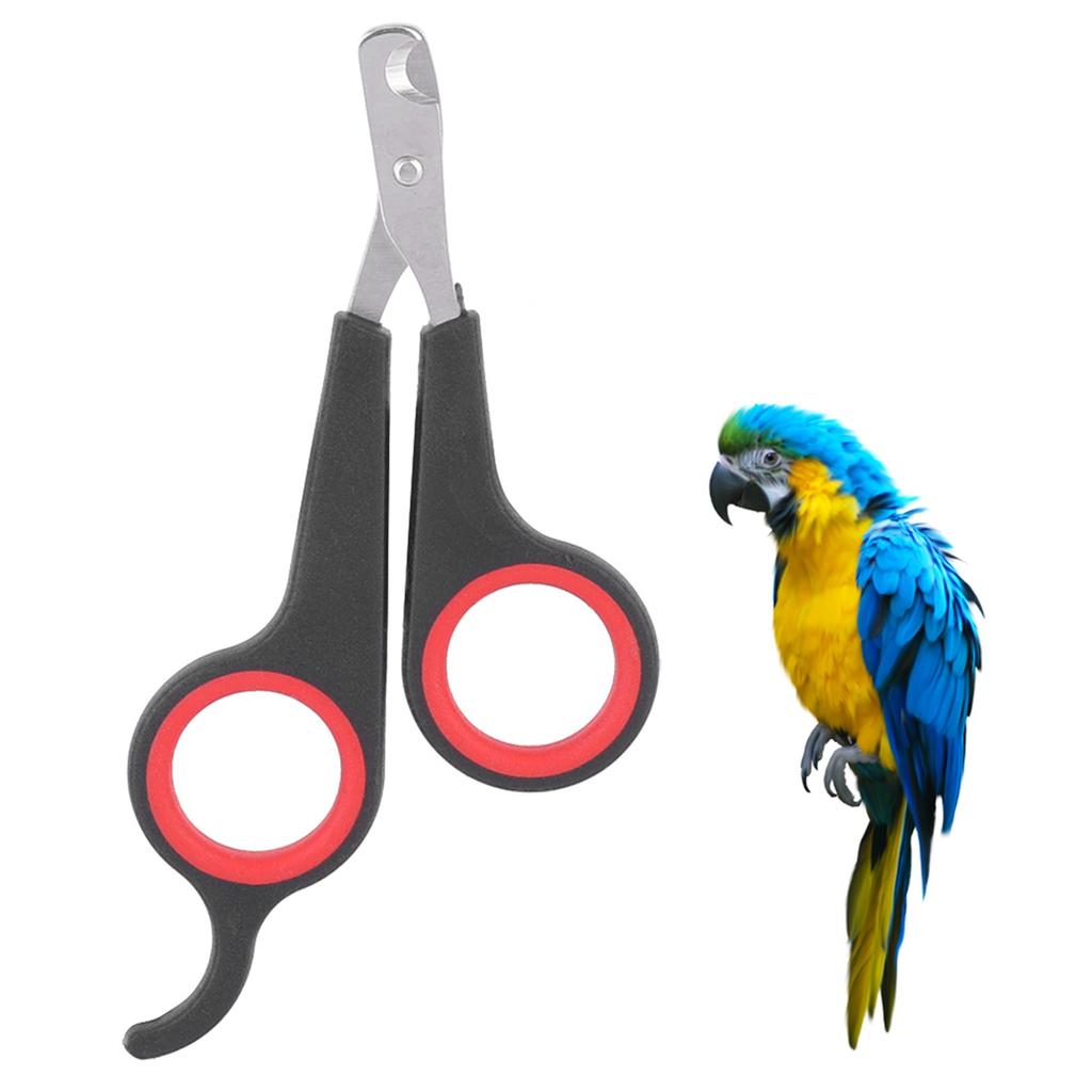 Pet Bird Parrot Small Animals Accessory Grooming Tool Nail Scissors Clipper Black and Red