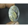 25X40X04MM Natural Tiger Dendritic Agate Oval Shape Cabochon Loose Gemstone G-390