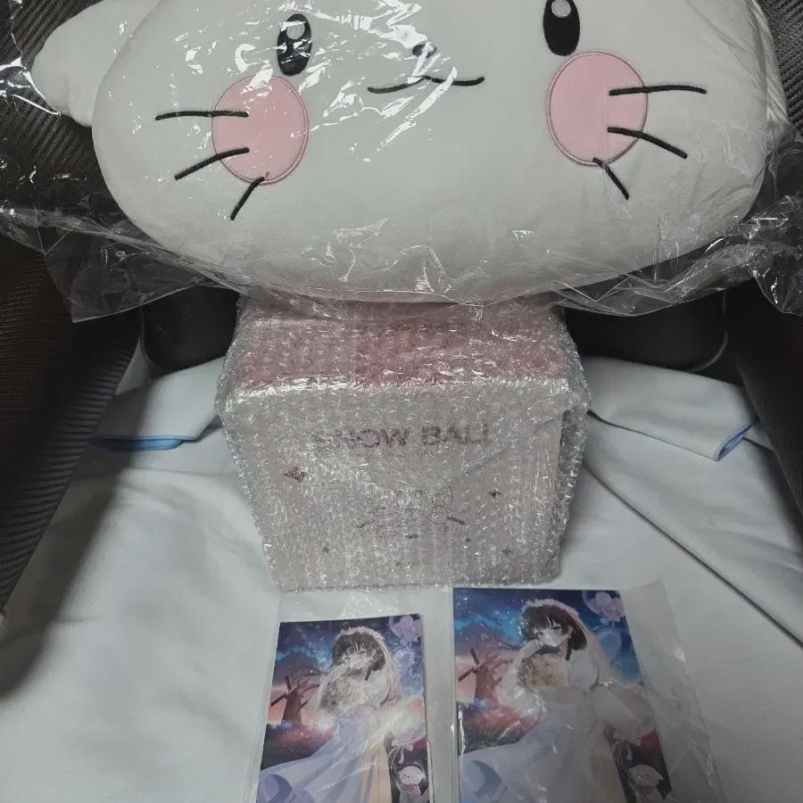 

Stellive Hina Saeil Goods Set