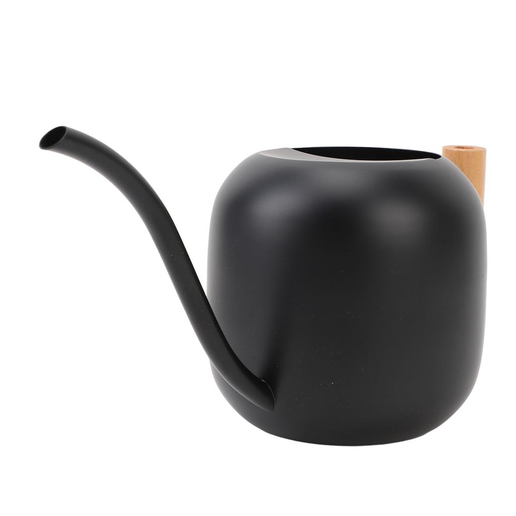 Gießkanne für Zimmerpflanzen Edelstahl Holzgriff Gießkanne mit langem Ausguss