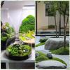 1PACK /200g Simulated Moss Artificial Micro Landscape Ornament Moss Bonsai Potted Plant Decorative Landscaping False Filamentous Wool Moss