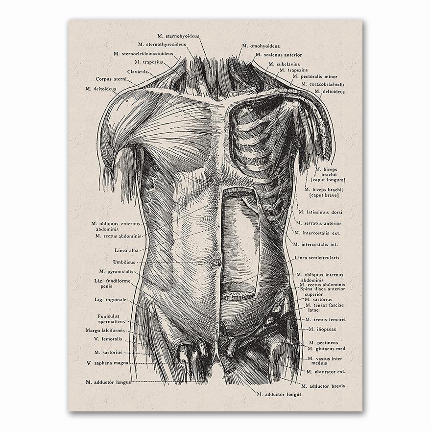 Anatomy skeleton Patent Vintage Poster Wall Art Print Canvas Painting Nordic Posters And Prints Wall Pictures For Living Room