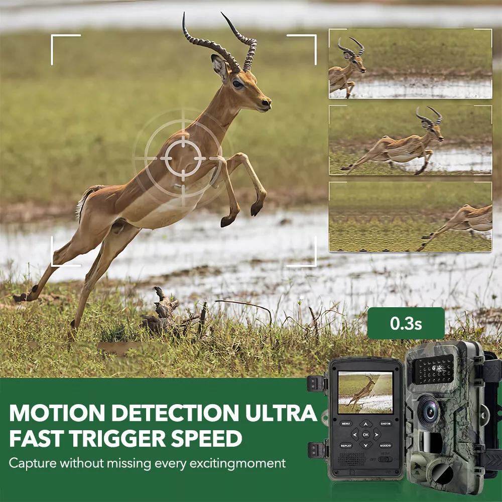 Hunting Trail Camera 2 Inch 2.7kHD HD Trail Hunting Camera IP66 Waterproof Night Vision Outdoor Wildlife Monitoring Trap Camera