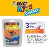 BIC Japan Cascade Filzstifte auf Wasserbasis, 30er-Pack, CSD-30