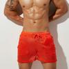Thin Semi-Permeable Beach Shorts Quality Men Home Pants Mid Waist Training Quick-Drying Running Quick-Dry Casual Sports Pants