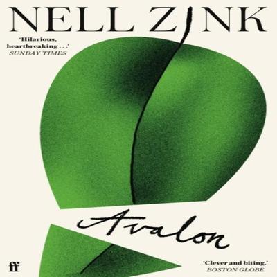 Avalon by Nell Zink Paperback Book 9780571376964
