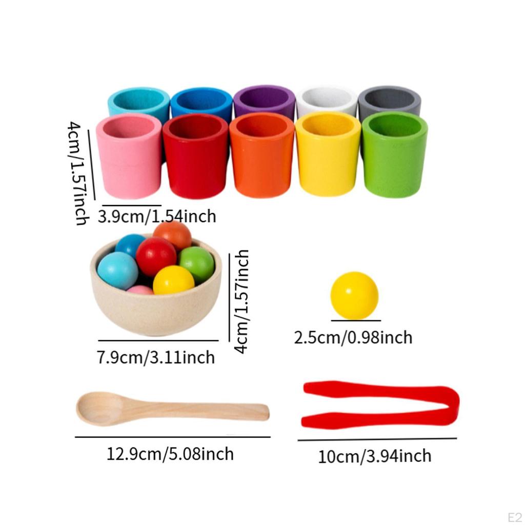 Rainbow Balls In Cups Fine Motor Skills Educational Learning Toy Skill Training for