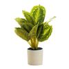 Artificial Plant Artificial Flower Exquisite Artificial Green Plant In a Stylish Potted Design Perfect for Home Décor