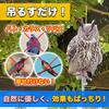 Sac Taske Bird Repellent, Realistic Owl Design, Bird Scare, Pigeon Repellent, Crow Repellent, Bird Pest Control (Set of 2 Horned Owls)