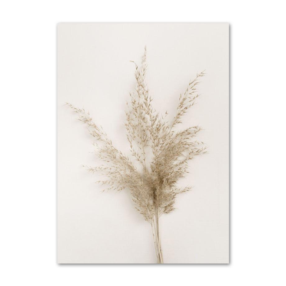 Beżowy plakat z krajobrazem mniszek lekarski ogon trzciny kwiatowej liść ścienny drukowany obraz na płótnie obrazy ścienne salon Home Decor