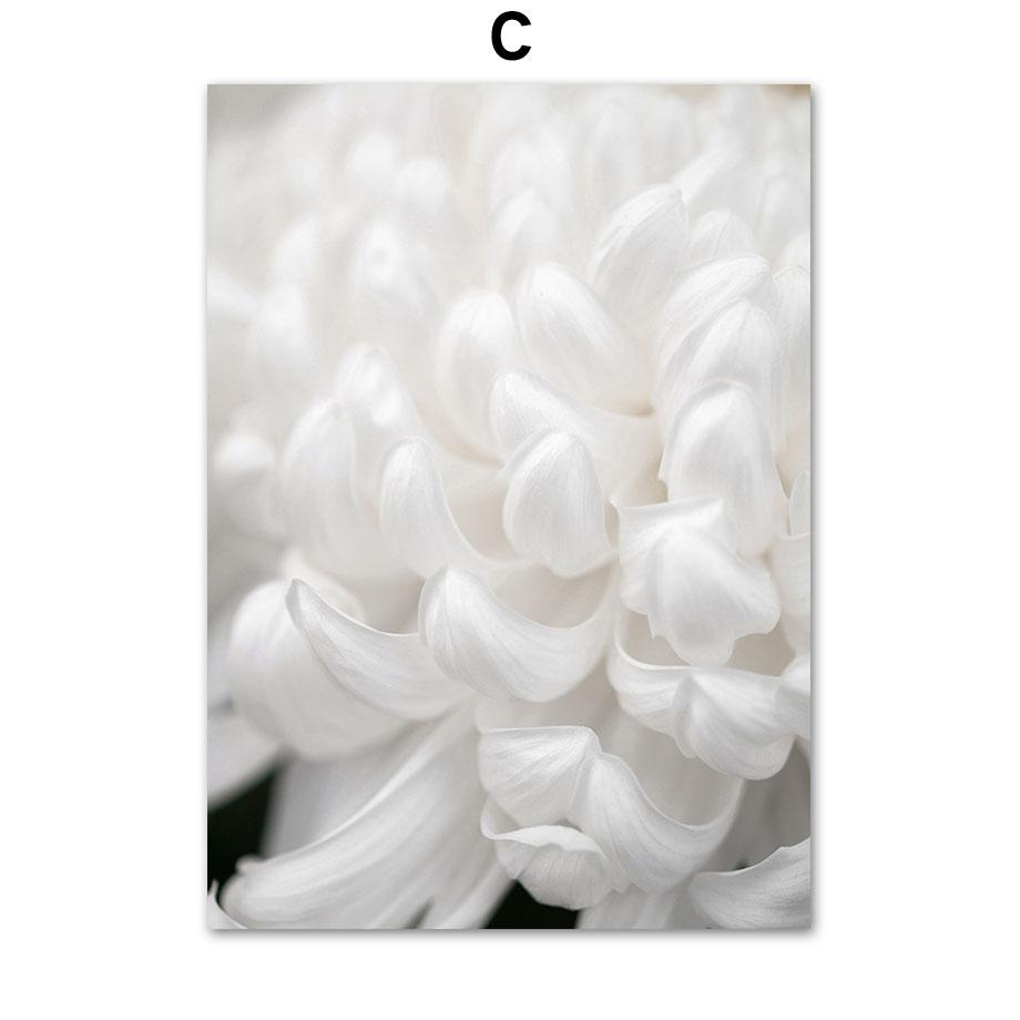 Hvit Peonrose Blomst Enkelhet Lerretsmaleri Nordiske Plakater Trykk Planter Romdekor Veggkunst Bilder Hjemmedekorasjon