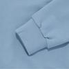The North Face White Label Dome Logo Hoodie Pullover Powder Blue