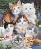 Süße Katzen-Decke für Mädchen Frauen, Leichte Weiche Fleece-Flanell-Kuscheldecke für Katzenliebhaber Sofa Couch Wohnzimmer 50x40 Zoll