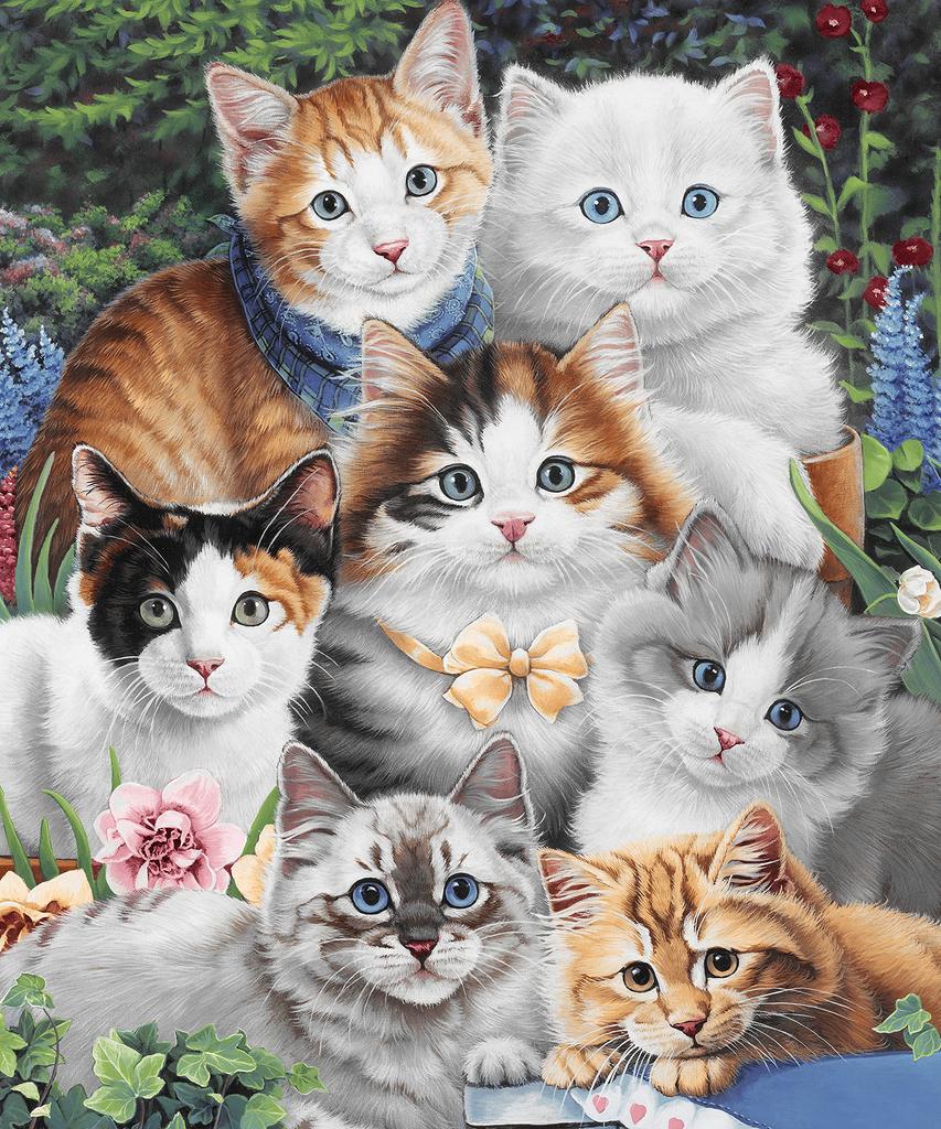Süße Katzen-Decke für Mädchen Frauen, Leichte Weiche Fleece-Flanell-Kuscheldecke für Katzenliebhaber Sofa Couch Wohnzimmer 50x40 Zoll