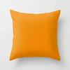 Modern Simple Solid Color Double-Sided Printed Pillow Cover Pillow Core Home Sofa Cushion Pillow Cover Premium