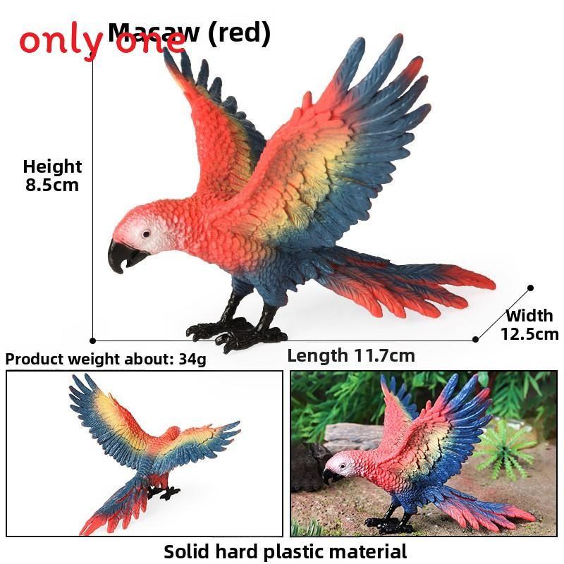 Animal Model Wildlife Solid Plastic Parrot And Hornbill Figures For Kids Gift