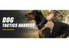 Tactical Anti-Pull Dog Harness & Leash for Medium to Large Breeds - Ideal for Border Collies & Golden Retrievers