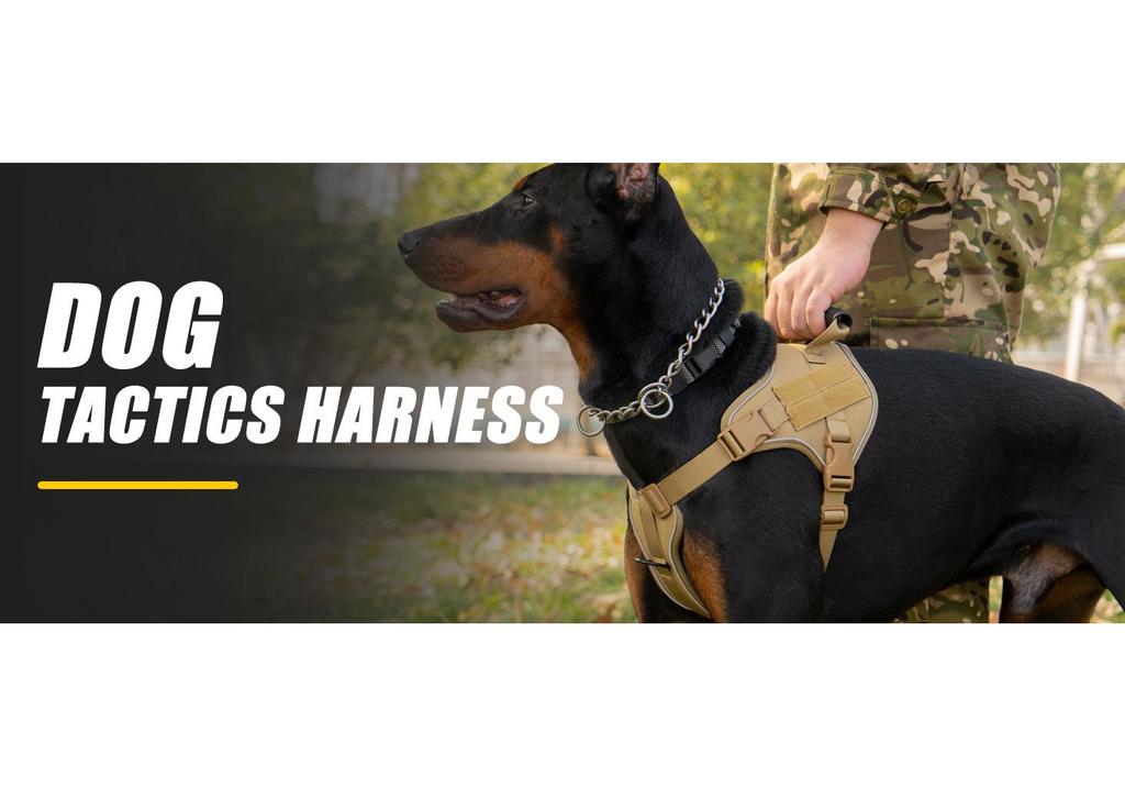 Tactical Anti-Pull Dog Harness & Leash for Medium to Large Breeds - Ideal for Border Collies & Golden Retrievers