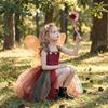 Forest Fairy Girl Costume Dress With Tulle Skirt Butterfly Wings Magic Wand For Toddler Girls
