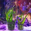 Fishbowl Aquatic  Plant  Pot Lightweight Reusable Sub-packing Water Weed Planting Basket For