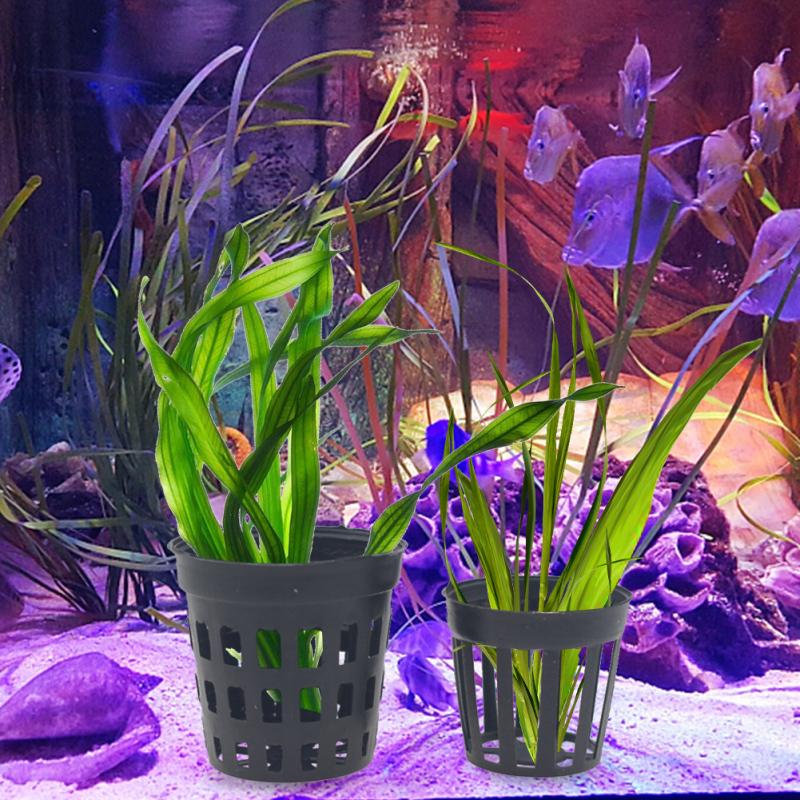 Fishbowl Aquatic  Plant  Pot Lightweight Reusable Sub-packing Water Weed Planting Basket For