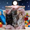 6 Adorable Kittens Cat Print Blanket For Soft Throw Blanket for Picnic Bed Sofa Home Bedroom Cozy Warm Comfortable