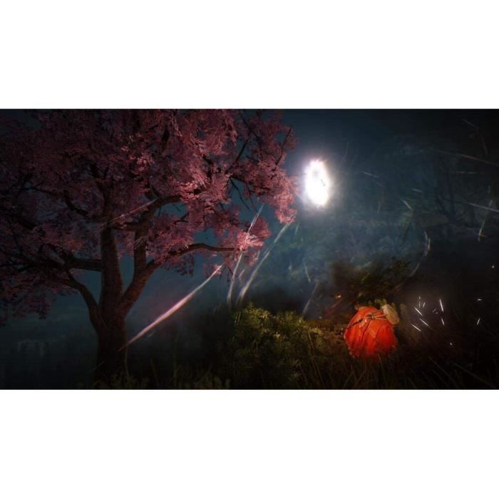 Black Desert - Prestige Edition (ps4) - Mmorpg Alive with 140 Usd of Bonus Content