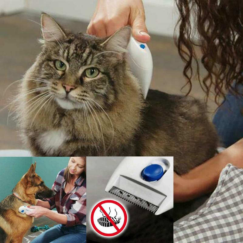 Buy Flea Doctor Electronic Flea Comb for Pet Dogs&Cats Kills&Stuns