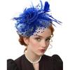 5Pcs Fascinators Hat for Women Tea Party Veil Mesh Headband Feather Hat for Women Veil Tea Party Hats