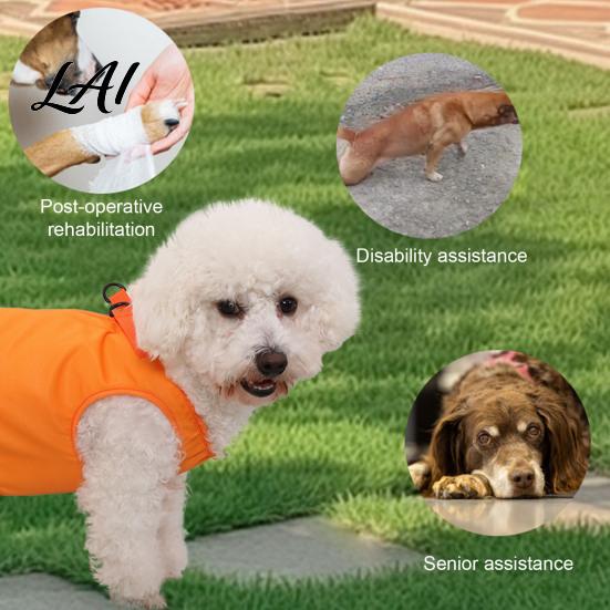 Harnais de levage pour chien avec support réglable pour la poitrine et le ventre, Harnais-écharpe rembourré avec poignées, Gilet de récupération complet pour animaux de compagnie pour la coupe des ongles, Jambes arrière,