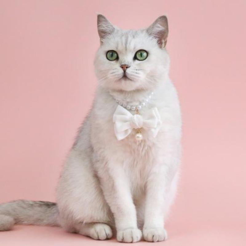 Pet Necklace Elegant Adjustable Cat Dog Collar with Faux Pearl Bow Cute Pet Neck Circle Pet Accessory