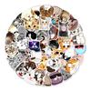 50 Cute Kitten Expressions Graffiti Stickers Suitcase Refrigerator Car Decoration Stickers