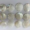 2 Stück/Packung Natürliche schillernde Perlmutt-Jakobsmuschelschalen-Anhänger 20x21mm Einzelbohrung Weiße Muschelperlen Für Ozean-Thema DIY Ohrring Schmuckherstellung