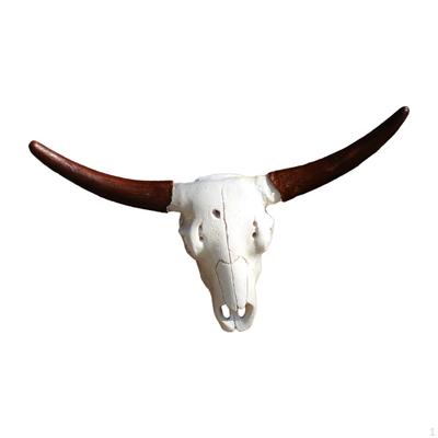 Animal Wall Art for Home Decoration