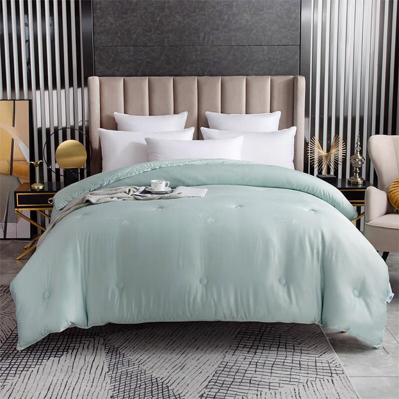 Hongdou Victoria Hyaluronic Acid All-Season Quilt