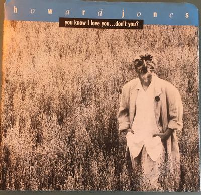7-Zoll-Schallplatte HOWARD JONES - You Know I Love You... Nicht wahr? 2485667 WEA 1986 Kanada Pop Gebraucht
