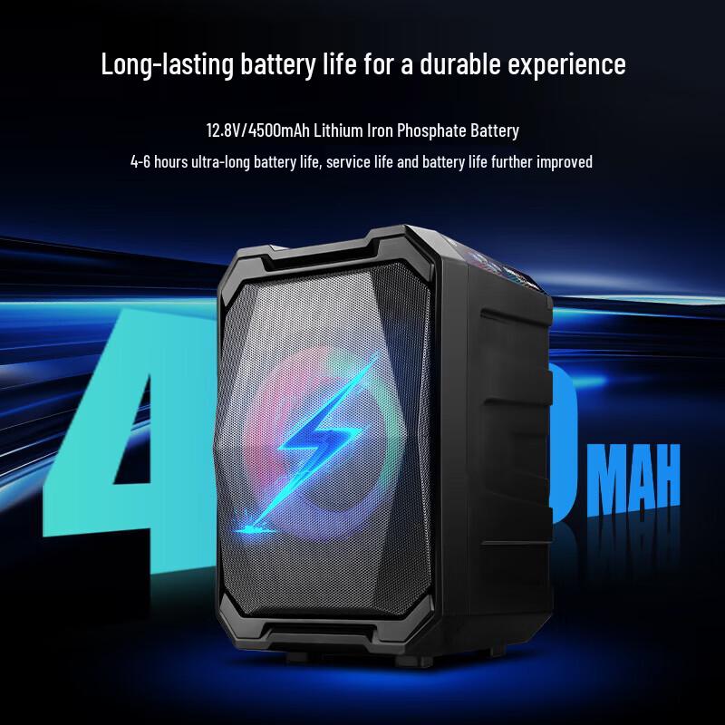 Philips SD308 Portable Bluetooth Karaoke Speaker CN plug (adapter included)
