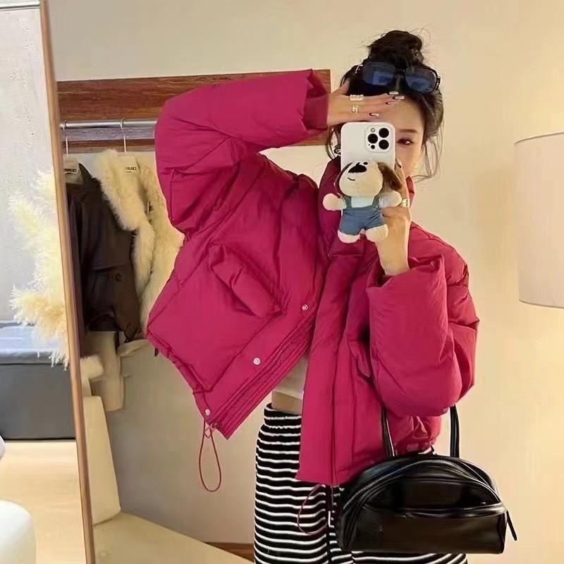 Koreanische Version Stehkragen Daunenjacke Damen kurz 2025 Winter neu verdickt warm weiße Entendaunen große Tasche Brotjacke