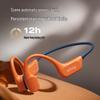 Saina B77S Pro Max Bone Conduction Swimming Headphones