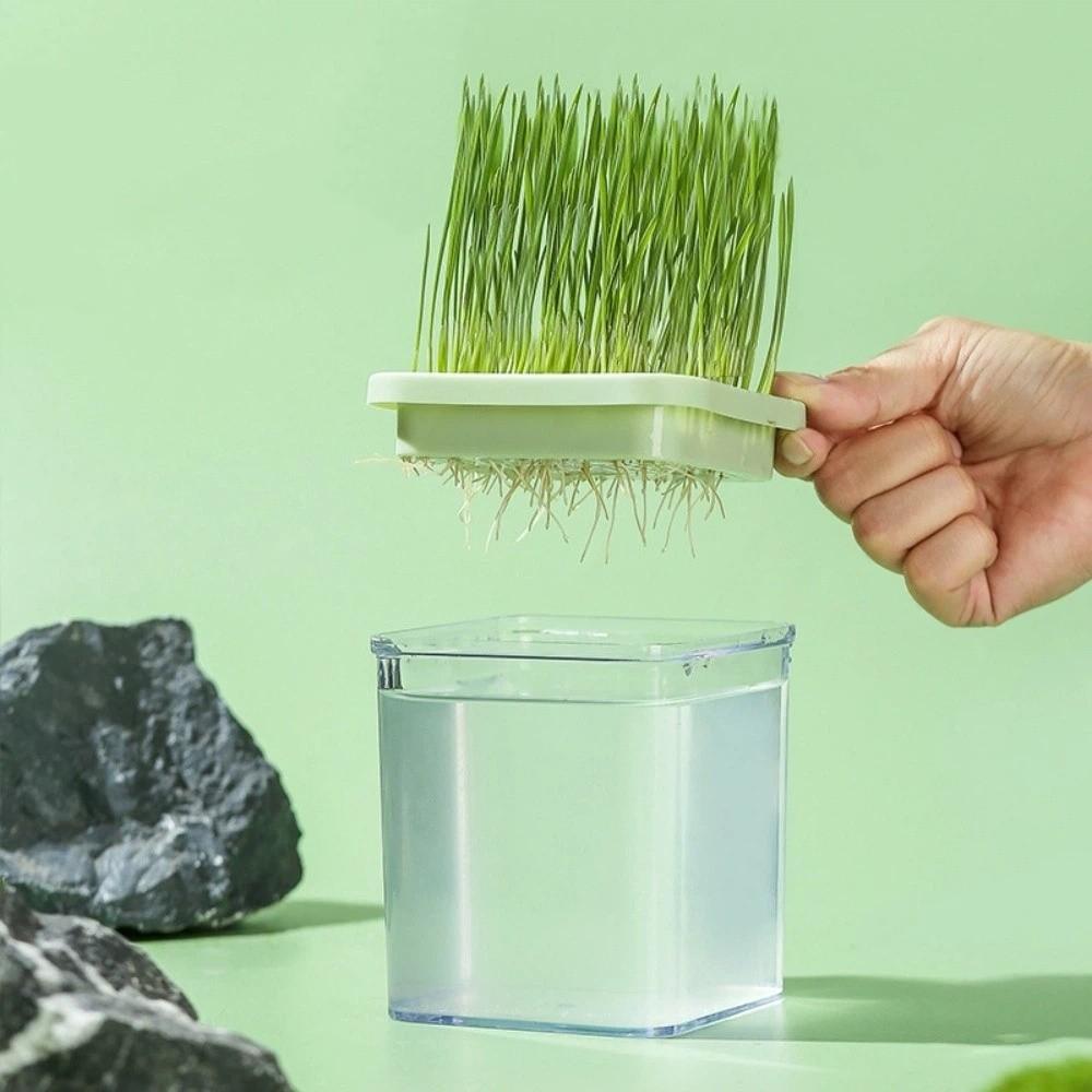 Layered Cat Grass Box Planter Detachable Microgreens Growing Box Indoor Growing