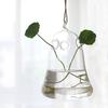 1Pcs Creative Hanging Glass Vase Transparent Hydroponic Container Terrarium Flower Plant Pot Garden Home Wedding Decoration