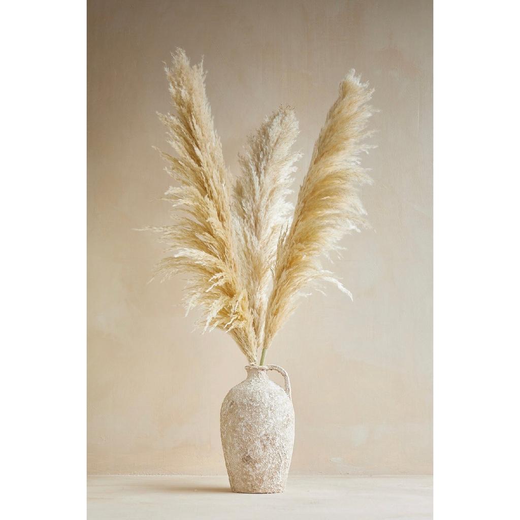 Große importierte Pampas mit 2 Zweigen und fusselfreiem, flauschigem Haar