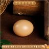 Simulation Egg Models for Photography Props - Creative Foam Eggs Set Includes Ostrich Dinosaur Quail Egg for Window Display