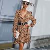 YYFS Women's Fashion Summer Spring Leopard Print Long Sleeve V-Neck High Waist Casual Dresses