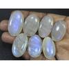 243Cts. Natural African Moonstone Oval Cabochon Loose Gemstone 07 Pcs Lot C-900